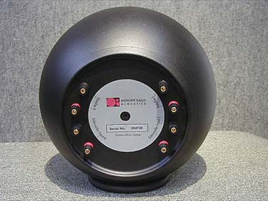 anthony gallo nucleus micro