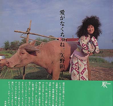 矢野顕子 愛がなくちゃね。 写真集付LP 愛がなくちゃね。/矢野顕子 矢野顕子 - 中古オーディオ 高価買取・販売