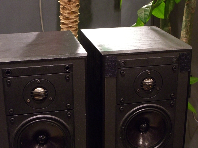 celestion 9
