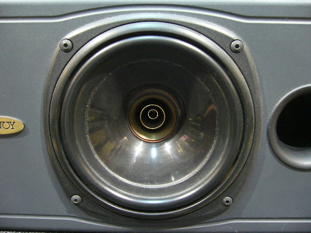 Tannoy Saturn S6C Dual Concentric Center Channel Speaker