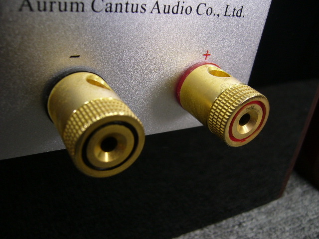 LEISURE 2 SE Aurum Cantus - 中古オーディオ 高価買取・販売