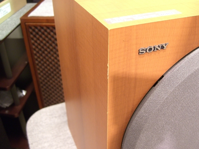 ソニー アクティブサブウーファー[SA-WM500] Sony SA-WM500 Powered subwoofer at Crutchfield