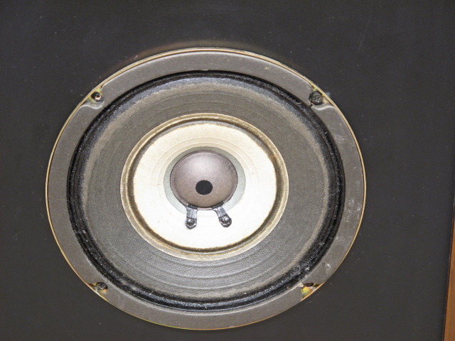 PIONEER PE-16 ペア PIONEER パイオニア PE-16M フルレンジ スピーカー