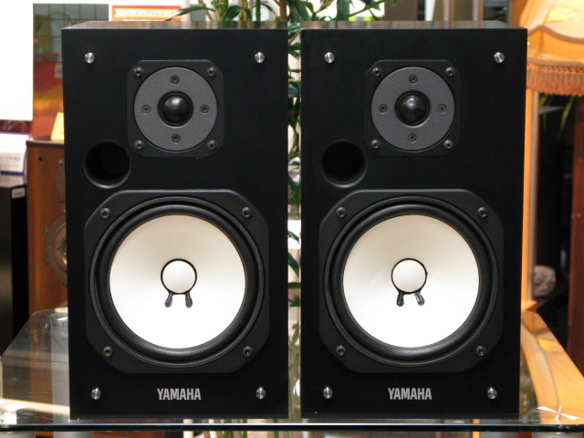 ns10mt