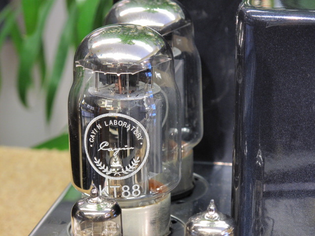 AS-8i CAYIN - HiFi-Do McIntosh/JBL/audio-technica/Jeff Rowland