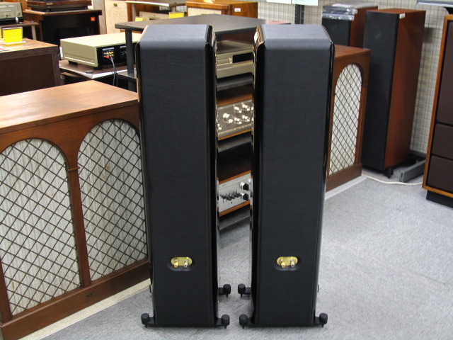 直接引取限定（東京都中央区）】ソナスファベール Grand Piano Home