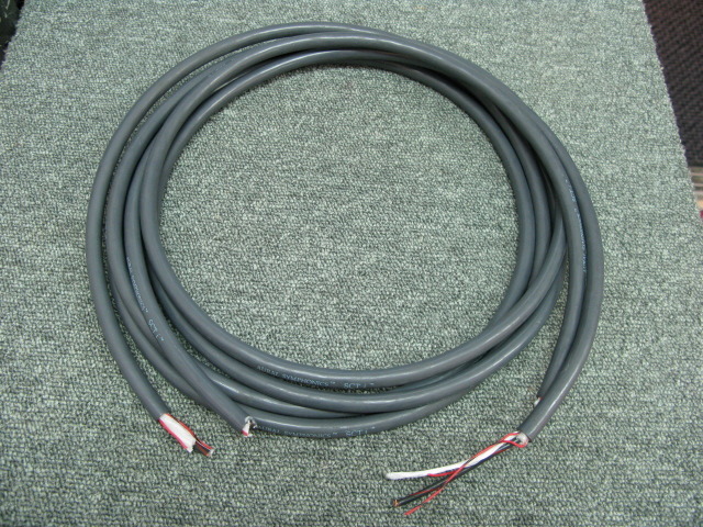 SCTi/2.5m AURAL SYMPHONICS - 中古オーディオ 高価買取・販売