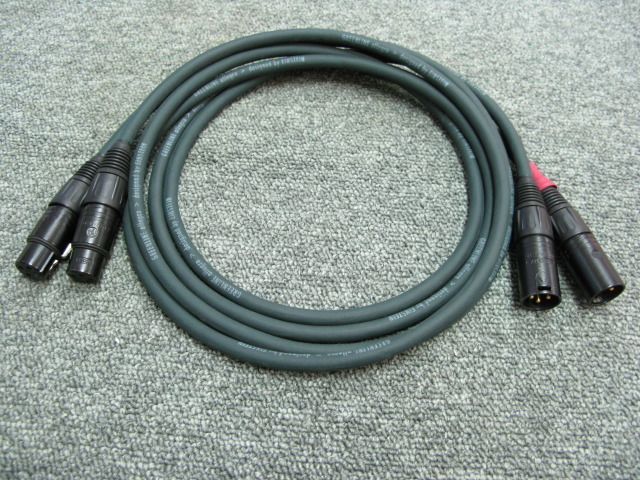 Einstein アインシュタイン GREENLINE ペア 約1.5m 【公式通販】