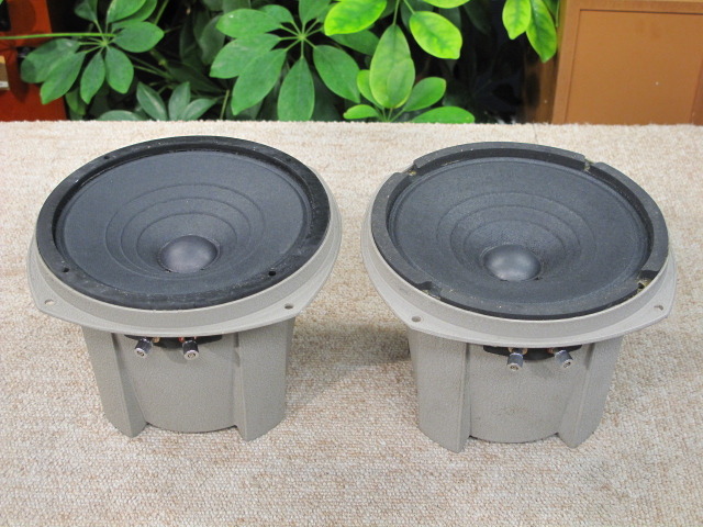 6M-50 CORAL - 中古オーディオ 高価買取・販売 ハイファイ堂