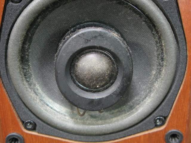 n.jpg