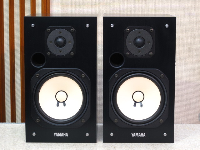 ns10mt