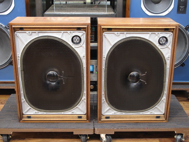 yamaha ns250