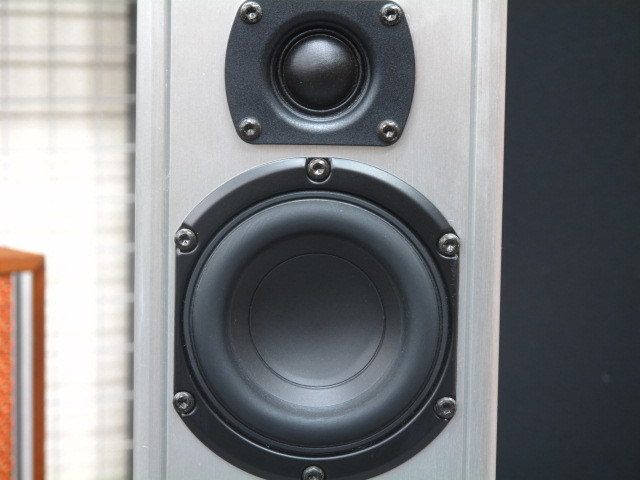 Piega TS5 スイス製トールボーイスピーカー Piega TS5 スイス製トールボーイスピーカー