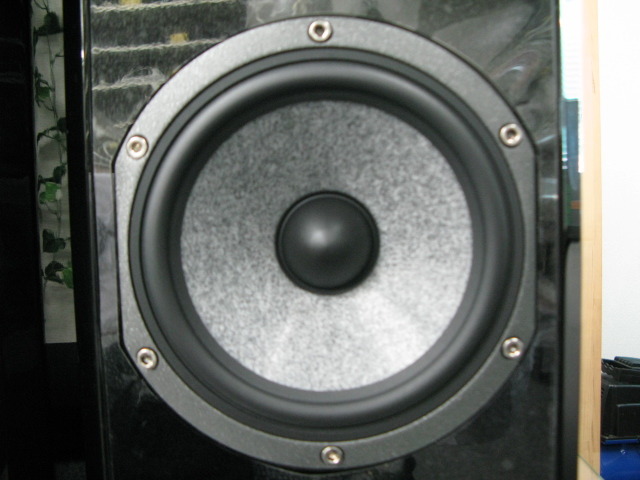 focal 806w