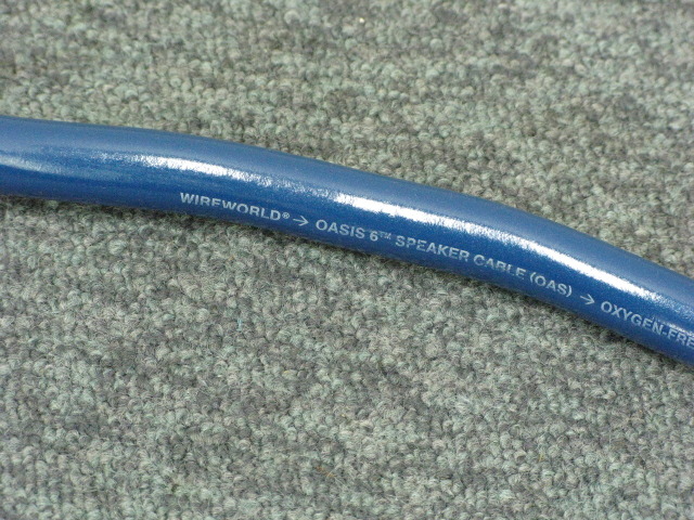 OASIS 6/1.5m WIRE WORLD - 中古オーディオ 高価買取・販売 ハイファイ堂