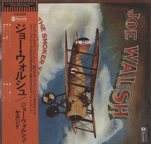 THE SMOKER YOU DRINK, THE PLAYER YOU GET/JOE WALSH JOE WALSH