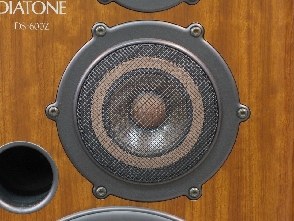 【値下げ】DIATONE DS-600Z（左側） 買取実績 |DIATONE ダイヤトーン DS-600Z ブックシェルフ型スピーカー