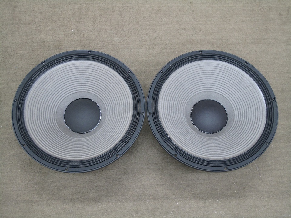 JBL ウーハー2035HPL 38cm 中古1ペア　1本エッジに小修復跡あり。 JBL ウーハー2035HPL 38cm 中古1ペア 1本エッジに小修復跡あり。 JBL