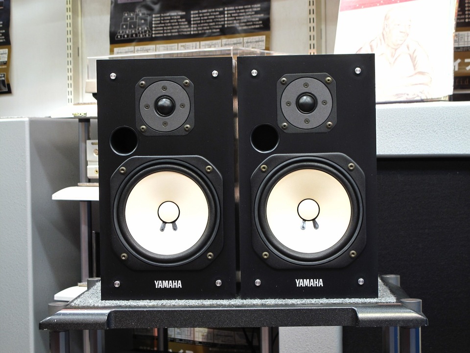 ns10mt