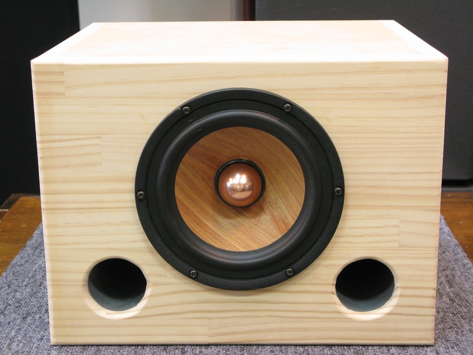 DCU-171W+バスレフ箱 我流工房 - 中古オーディオ 高価買取・販売
