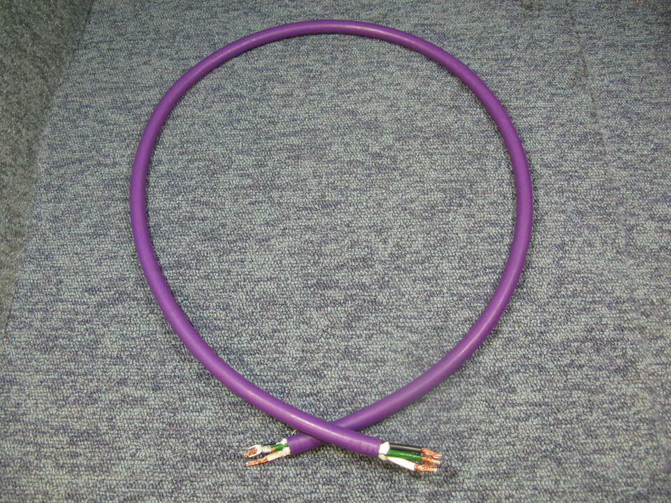 POWER STANDARD TripleC 8800/1.0m ACOUSTIC REVIVE - 中古オーディオ