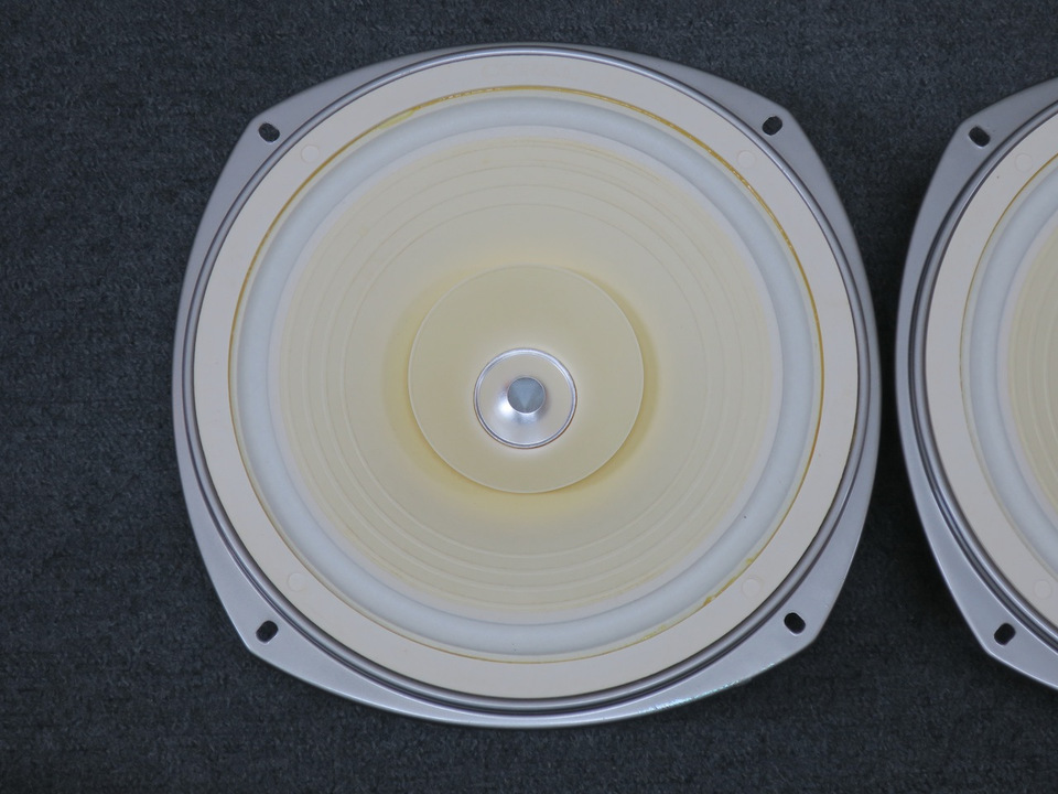 希少品【音出し確認済み】現状品 コーラル Coral FLAT-10 Ⅱスピーカ