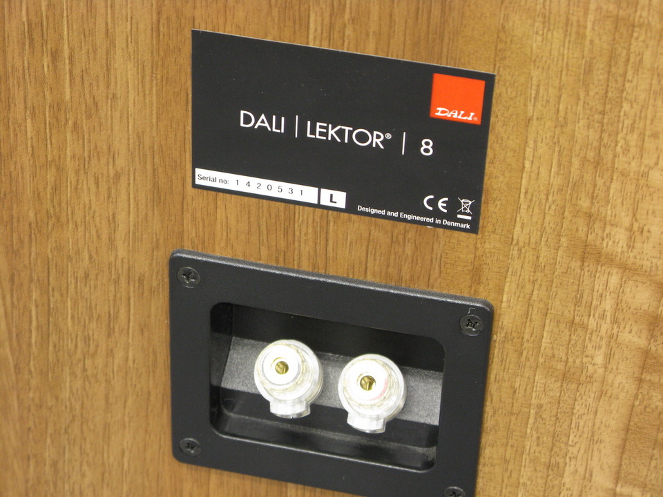DALI トールボーイスピーカー『LEKTOR 8』① 高額買取実施中!!】DALI
