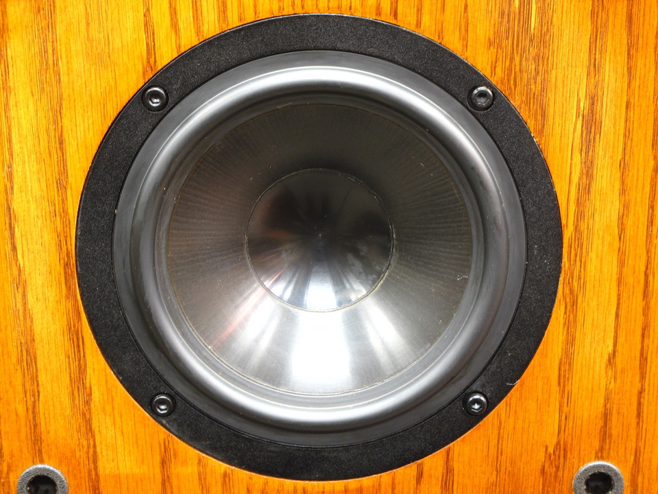 希少品 Kappa Infinito TDW-01 高級ウーファー 定価25万円 TD