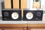NS-10M STUDIO