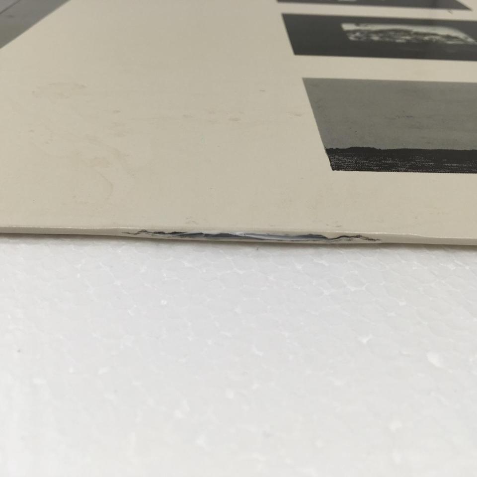 オムニバス『LUBB-DUPP精神工学様変容II』レコード