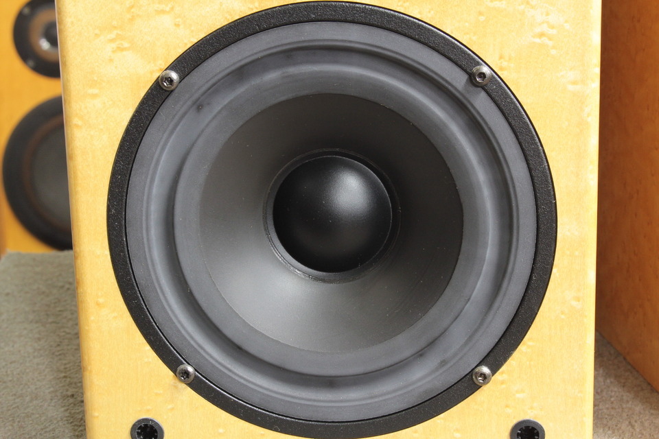 Silverline Audio SR15 米国ペア1800$検 B&W