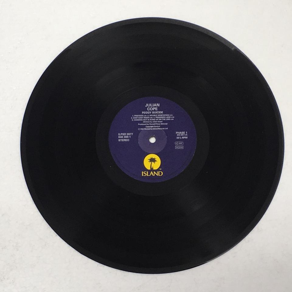 PEGGY SUICIDE/JULIAN COPE JULIAN COPE - 中古オーディオ 高価買取