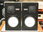 NS-10M