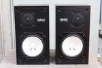 NS-10M