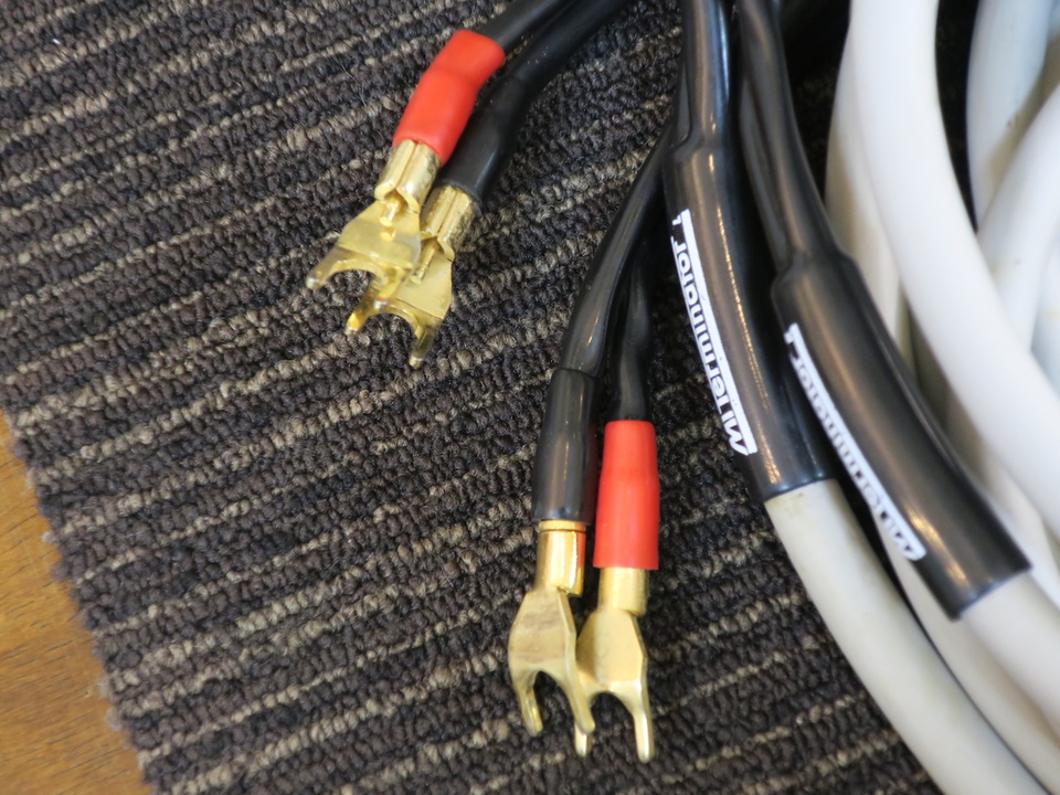 TERMINATOR 4/3.0m MIT - 中古オーディオ 高価買取・販売 ハイファイ堂