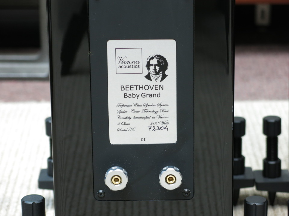 Beethoven Baby Grand SE Vienna Acoustics - 中古オーディオ 高価買取
