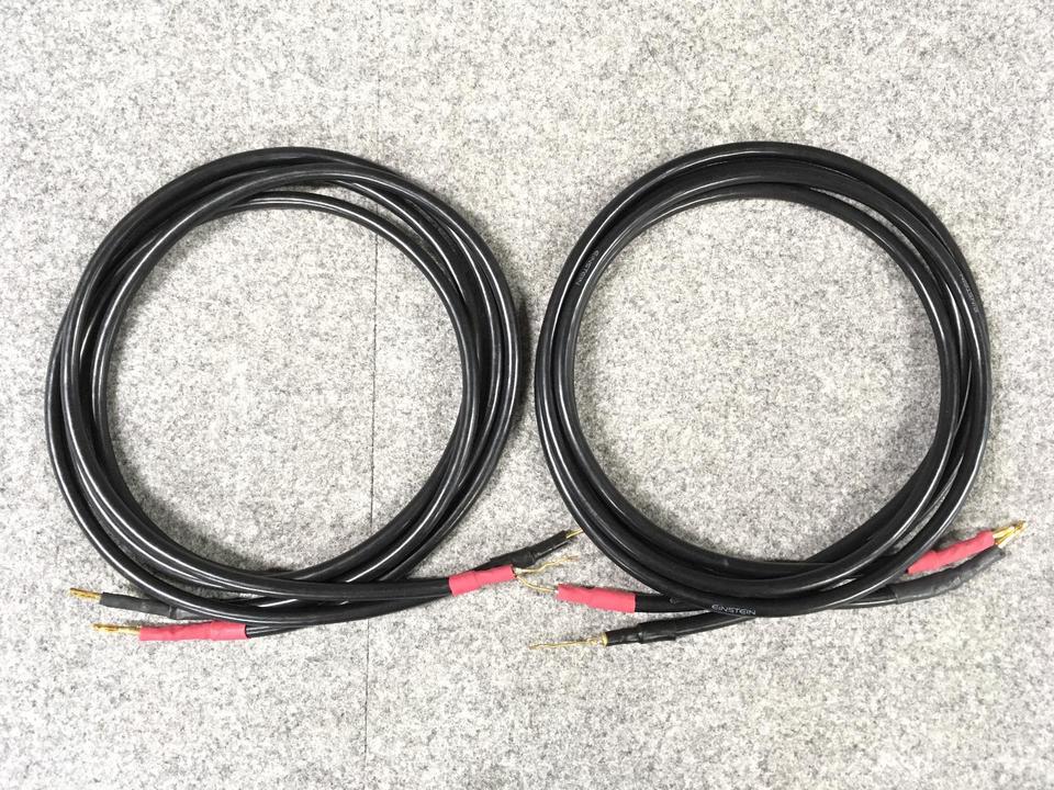 EINSTEINアインシュタインVivace スピーカーケーブル 約2.3mペア Greenline Vivace ペア スピーカーケーブル - メルカリ