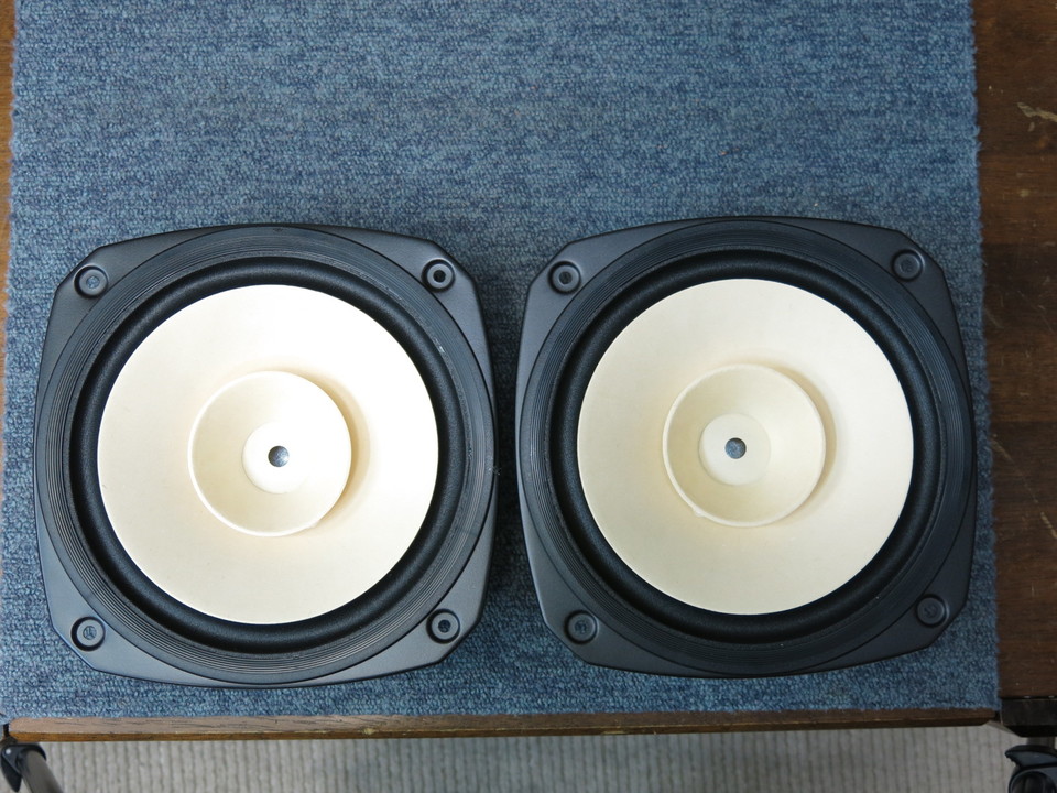Fostex FE206En 20cm スピーカー 2個セット Amazon | FOSTEX フルレンジ FE206En | FOSTEX | スピーカーユニット