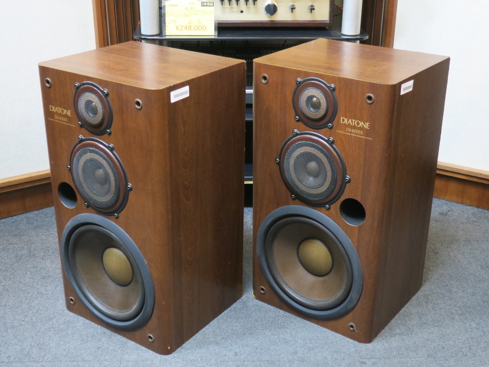 カワセミヴィンテージDIATONEツインスピーカー カワセミ様専用ヴィンテージDIATONEツインスピーカー