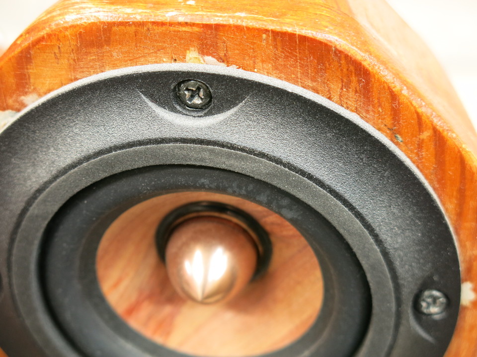 DCU-F101W+エンクロージャー Parc Audio - 中古オーディオ 高価