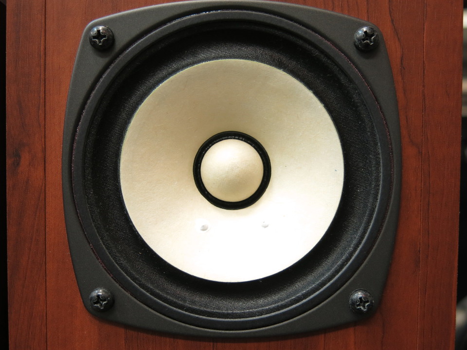 FOSTEX FE-103En＋P1000-BH P1000-BH | Fostex