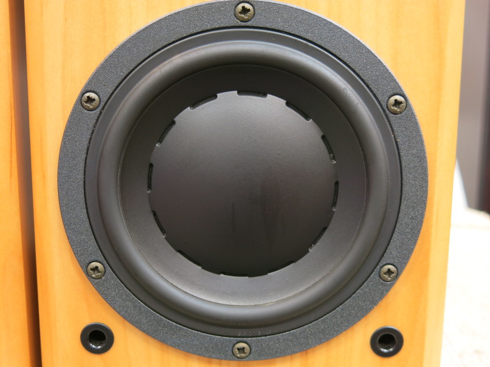 レア】DYNAUDIO FOCUS 110SE【吉田苑】ディナウディオ スピーカー