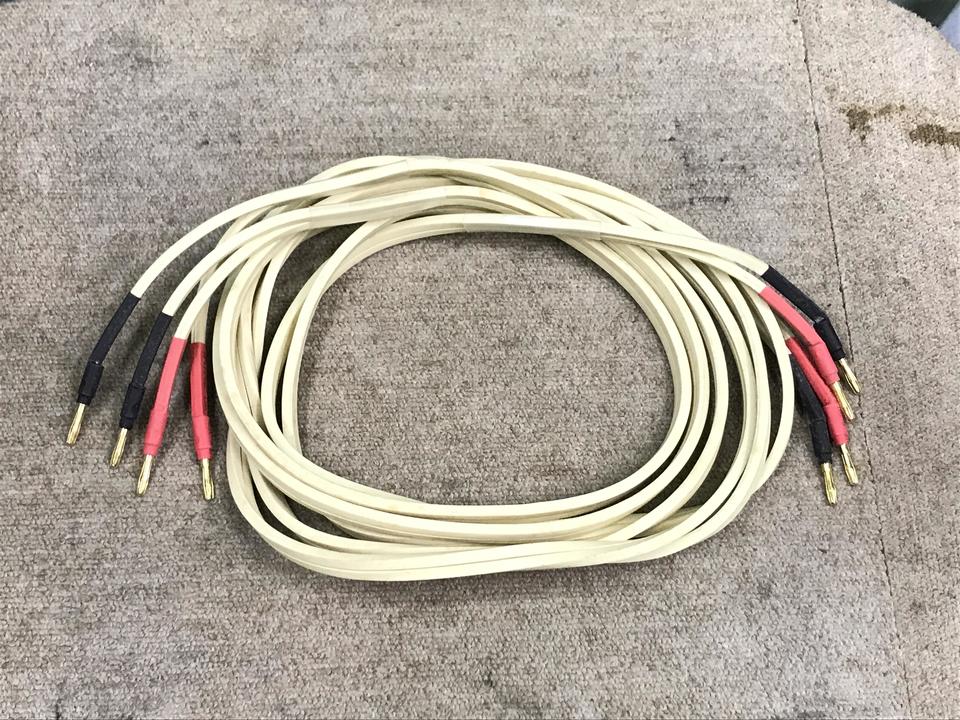 スピーカーケーブル/2.5m wyvern audio - 中古オーディオ 高価買取