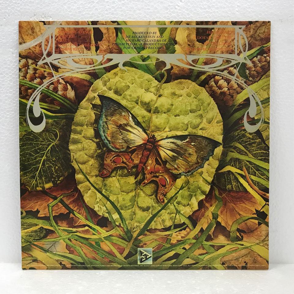 MORNING DANCE/SPYRO GYRA SPYRO GYRA - 中古オーディオ 高価買取
