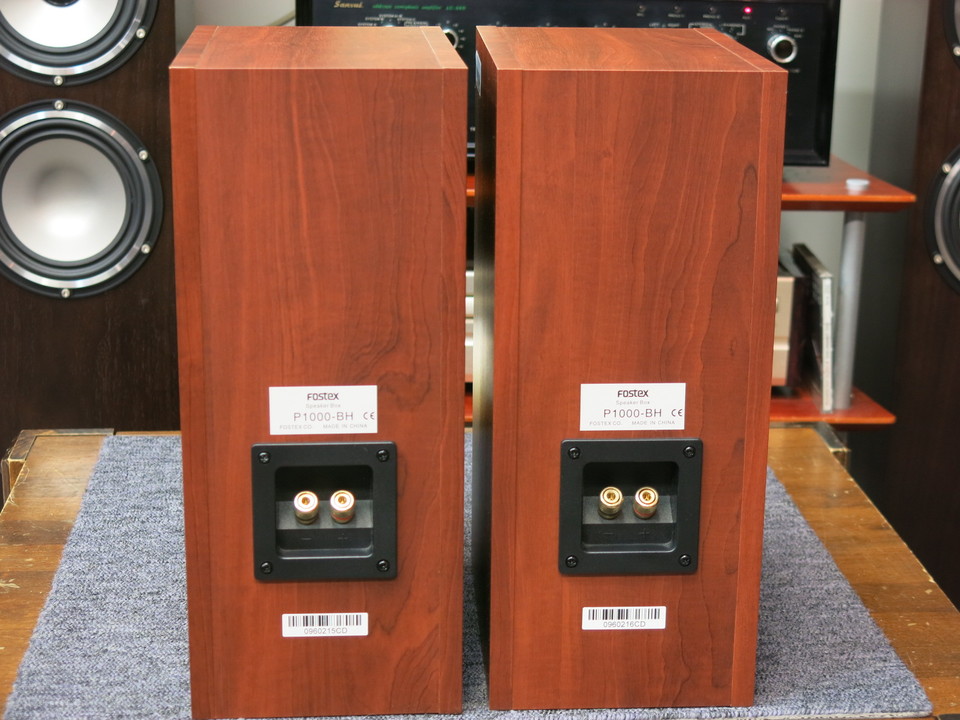 P1000-BH / FE103-Sol(ジャンク） ☆FOSTEX FE103En with P1000-BH その後 | Mono Ludens