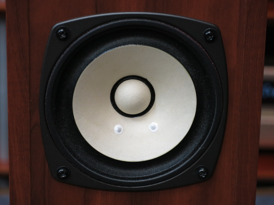 FOSTEX スピーカー　P1000-E + FE103En FE103En | Fostex(フォステクス)