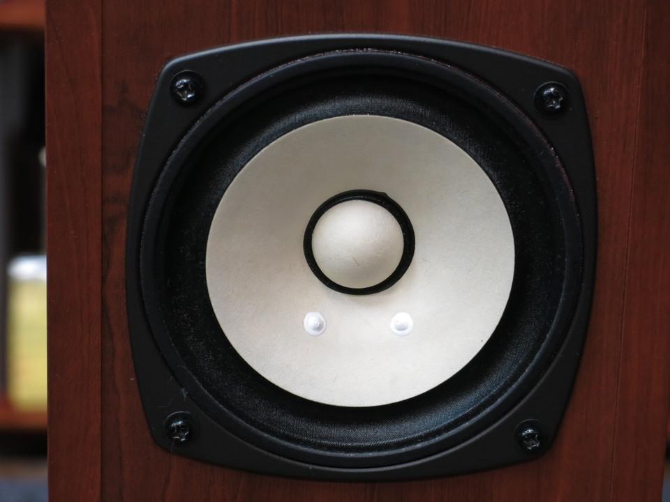 P1000-BH / FE103-Sol(ジャンク） ☆FOSTEX FE103En with P1000-BH その後 | Mono Ludens