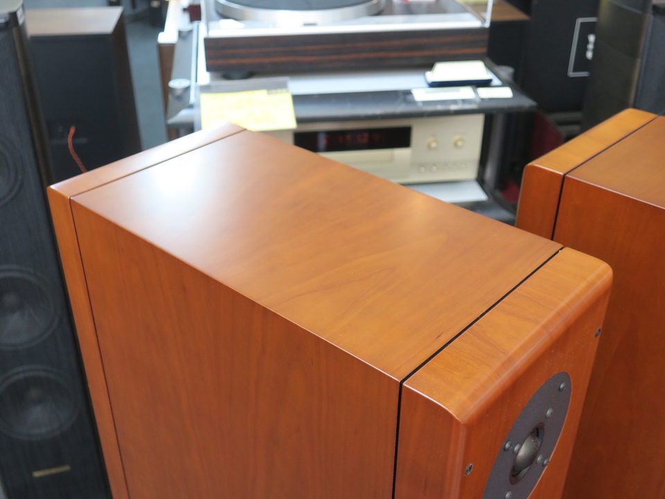 T-3G BEETHOVEN Concert Grand Vienna acoustics - 中古オーディオ