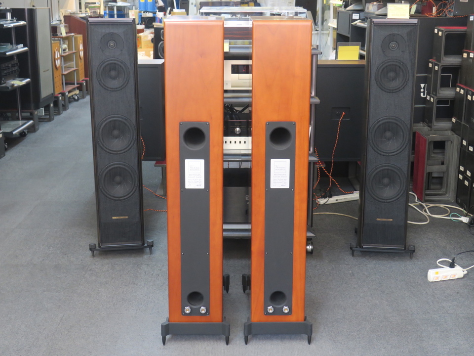 T-3G BEETHOVEN Concert Grand Vienna acoustics - 中古オーディオ