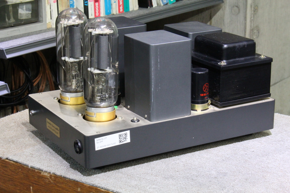 SUN VALLEY 845 真空管 2本セット SUN VALLEY 845 真空管 2本セット - メルカリ